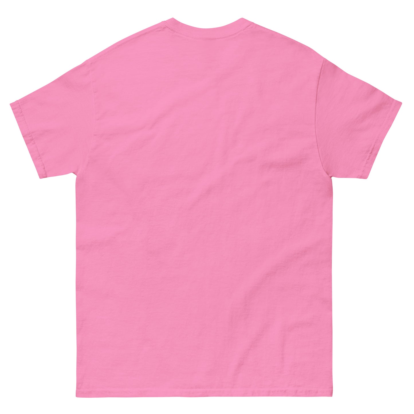 Who will Stand with US - PoliTee - white print - Killer Products