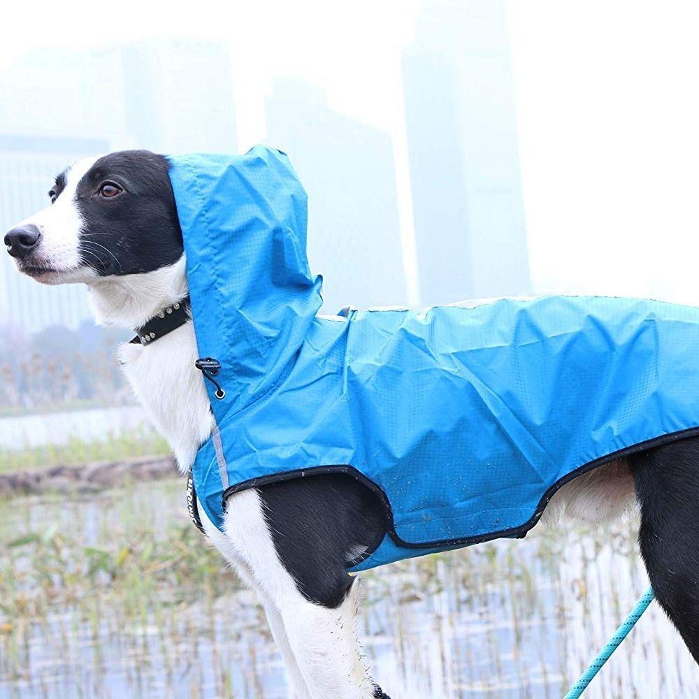 Waterproof Pet Raincoat: Easy On/Off, Available in Vibrant Colors