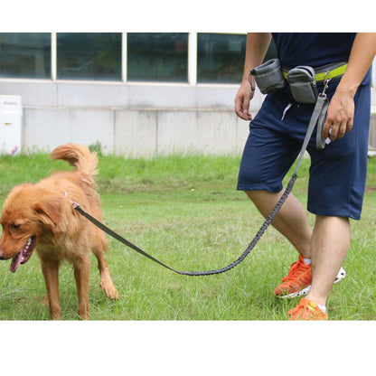 Adjustable Hands Free Dog Leash with Waist Bag and Pouch