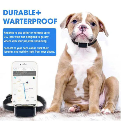 New Arrival IP67 Waterproof Pet Collar GSM AGPS Wifi LBS Mini Light GPS Tracker for Pets Dogs Cats Cattle Sheep Tracking Locator  Killer Products