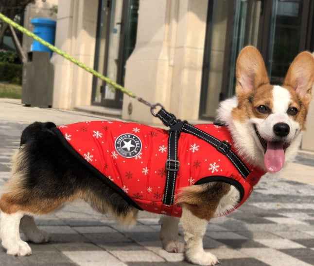 Warm Hooded Pet Dog Clothes for Small Dogs Winter Jackets - Killer Products