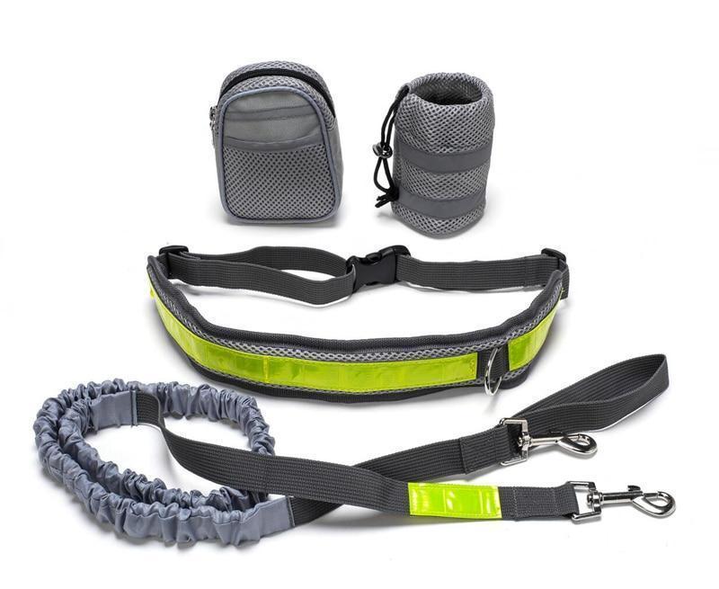 Adjustable Hands Free Dog Leash with Waist Bag and Pouch