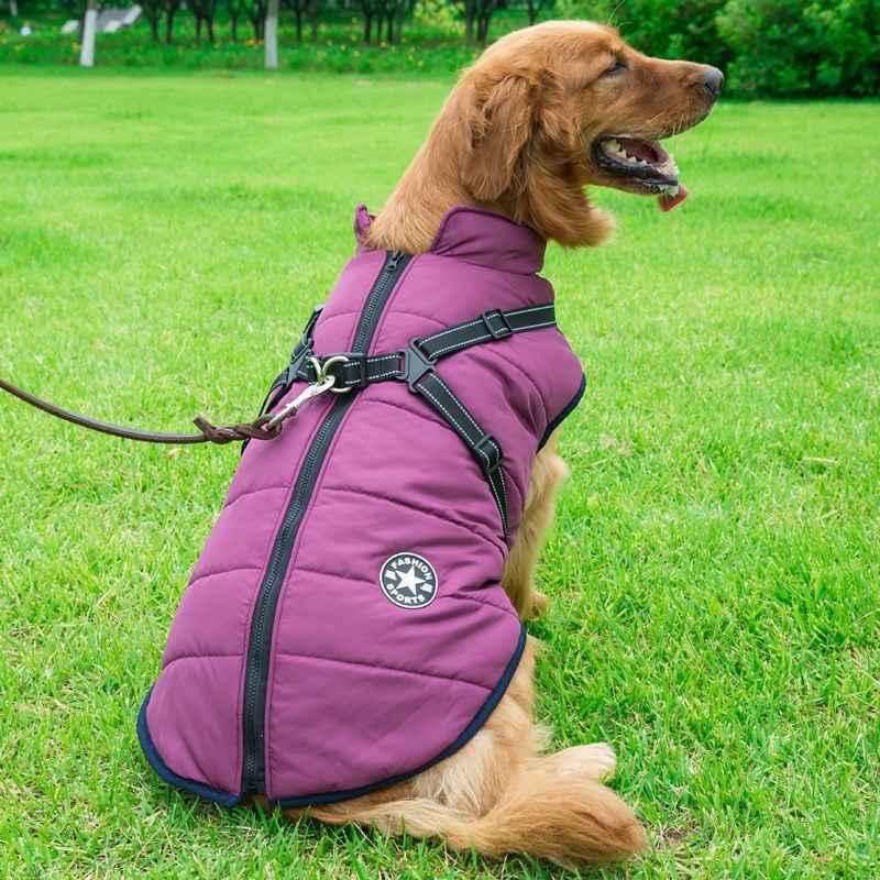 Warm Hooded Pet Dog Clothes for Small Dogs Winter Jackets - Killer Products
