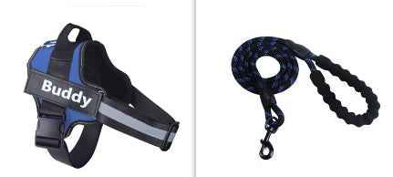 Fashion Simple Pet Leash Chest Strap Set: Stylish & Secure - Killer Products