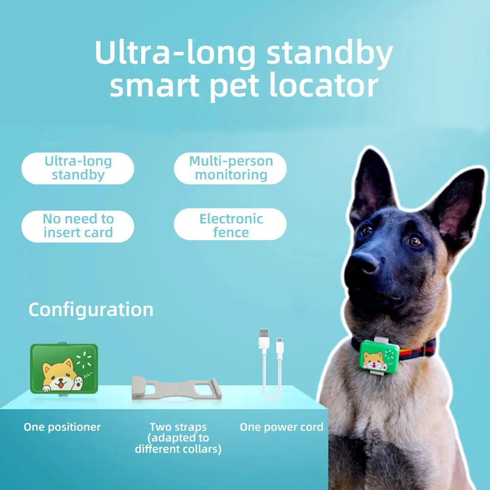 Pet Locator With Electronic Fence Alarm Function Can Effectively Monitor Pets In Real Time  Killer Products