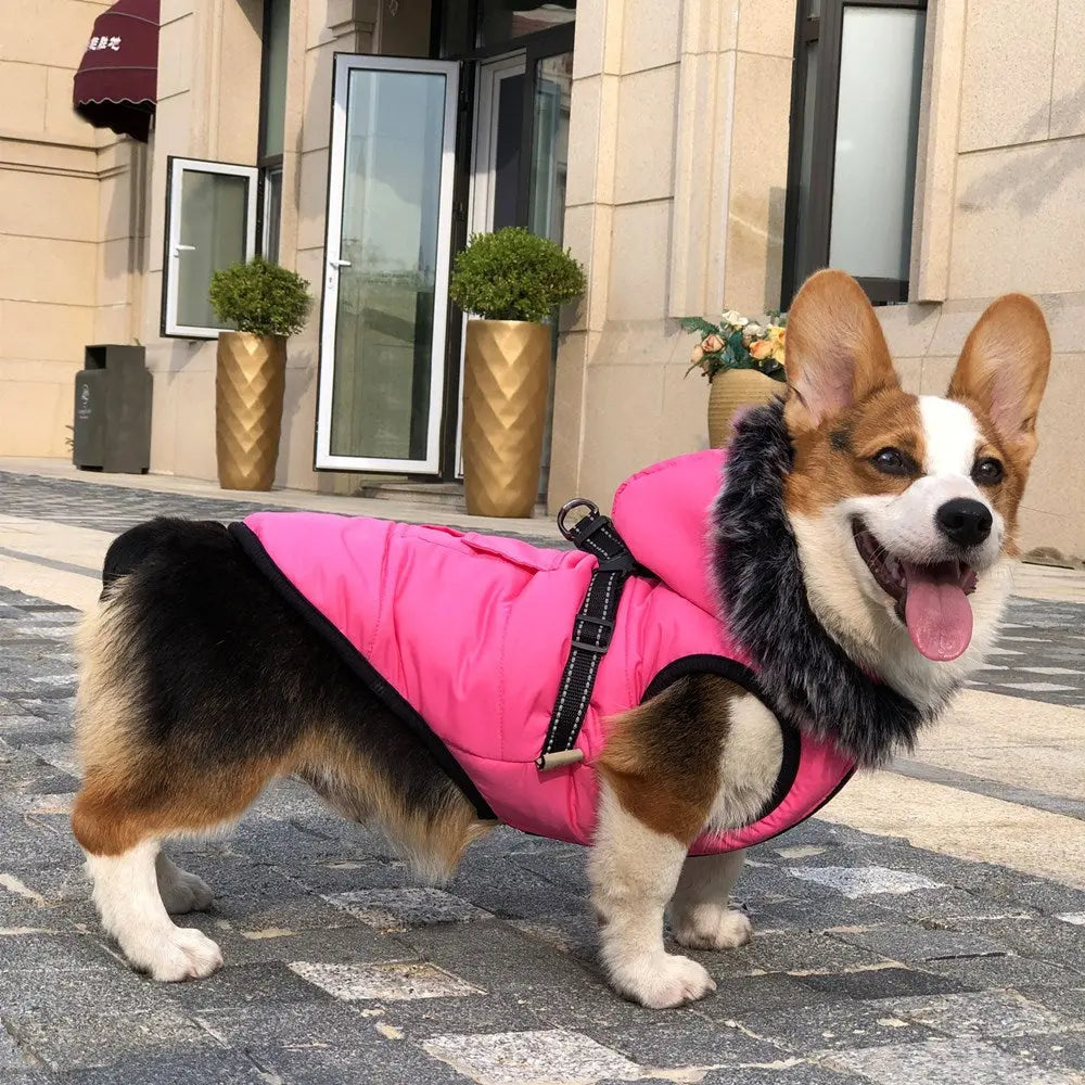 New Pet Cotton Clothes Reflective Warmth Dog Clothes Winter Wool Collar Plus Cotton Pet Clothing Cotton Vest Coat  Killer Products