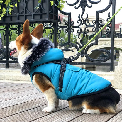 New Pet Cotton Clothes Reflective Warmth Dog Clothes Winter Wool Collar Plus Cotton Pet Clothing Cotton Vest Coat  Killer Products