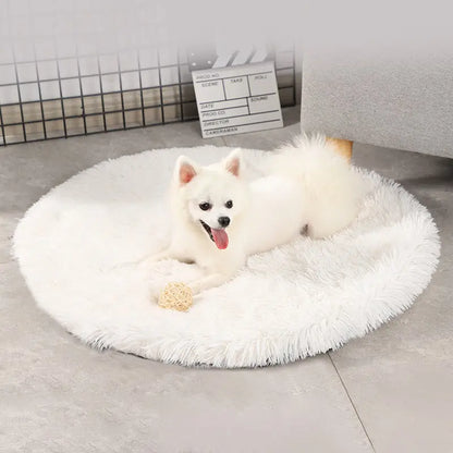 Pet Bed Nest Pets Rest Sleeping Cat Bed Nesting Box Warm Pet Blanket Mat  Killer Products