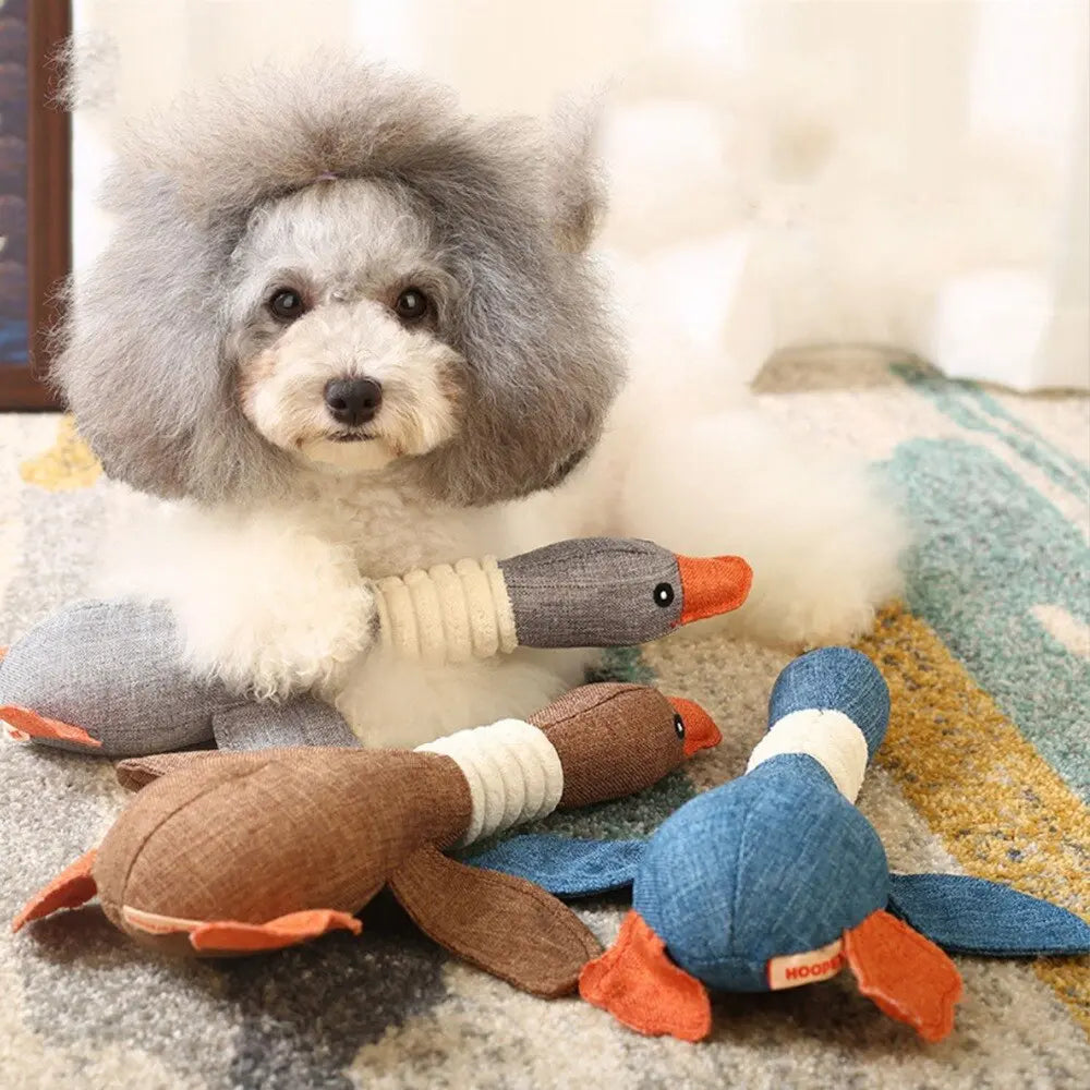 Dog Squeak Toys Wild Goose Sounds Toy Cleaning Teeth Puppy Dogs Chew Training Plush Dog Toys  Killer Products