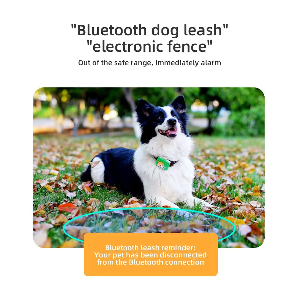 Pet Locator With Electronic Fence Alarm Function Can Effectively Monitor Pets In Real Time  Killer Products