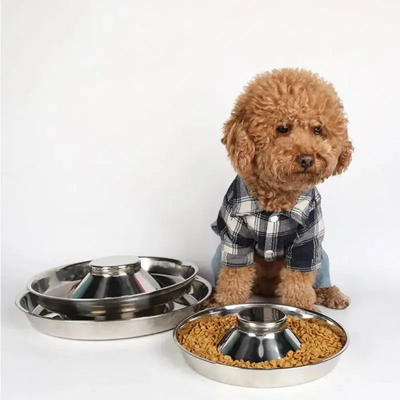 Pet Stainless Steel Dog Bowl Puppy Litter Food Feeding Dish Weaning Silver Stainless Feeder Water Bowl Pets Feeder Bowl  Killer Products