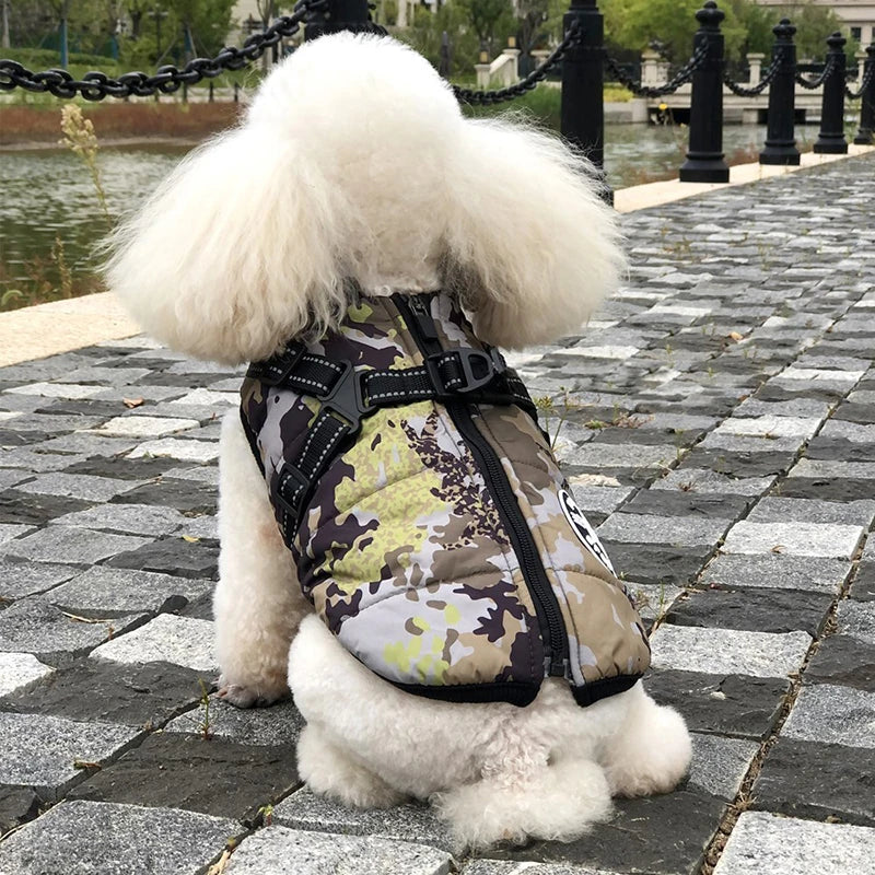 CozyPaws Waterproof Dog Jacket & Harness Combo