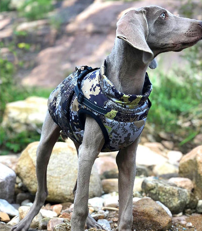 CozyPaws Waterproof Dog Jacket & Harness Combo