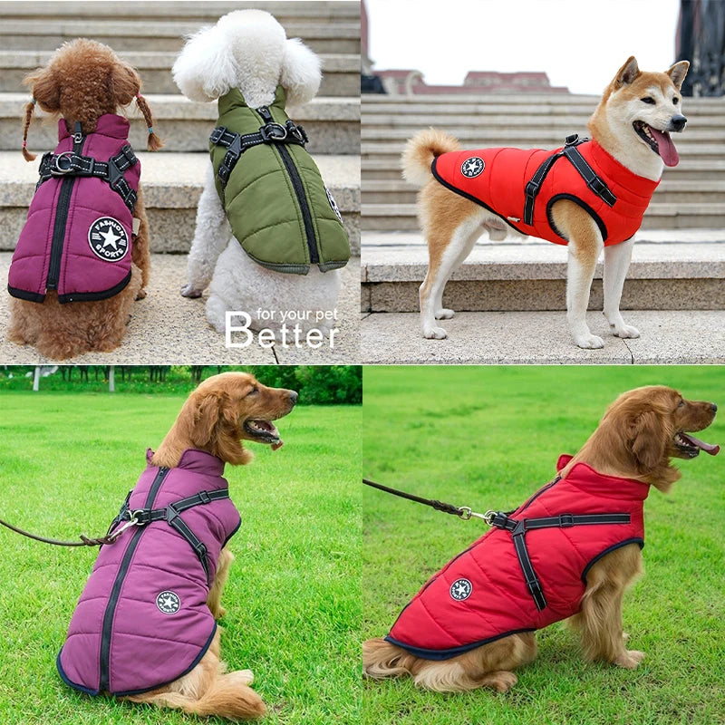 CozyPaws Waterproof Dog Jacket & Harness Combo