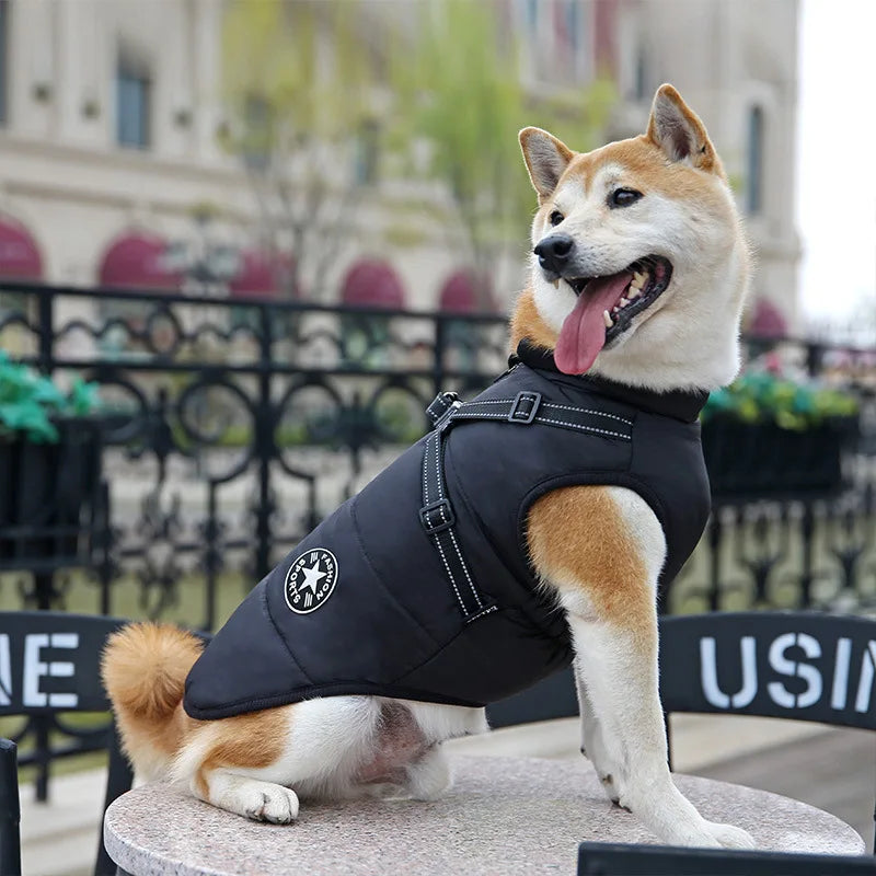 CozyPaws Waterproof Dog Jacket & Harness Combo