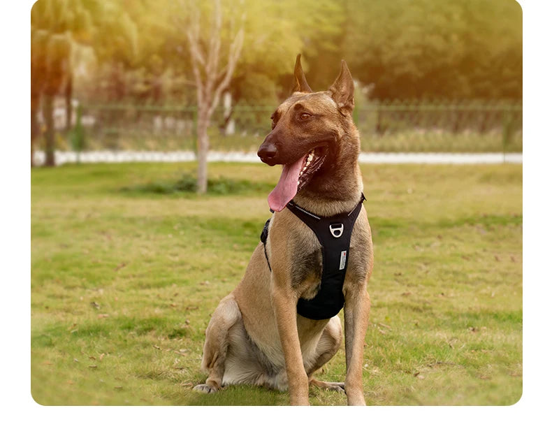 TrueLove No-Pull Reflective Dog Harness – Adjustable & Comfortable Control