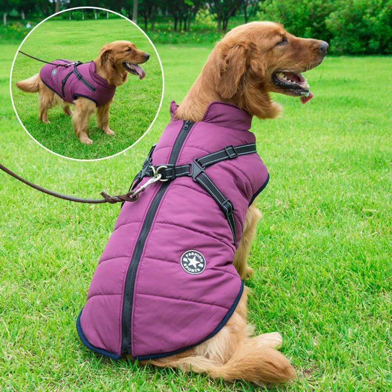 CozyPaws Waterproof Dog Jacket & Harness Combo