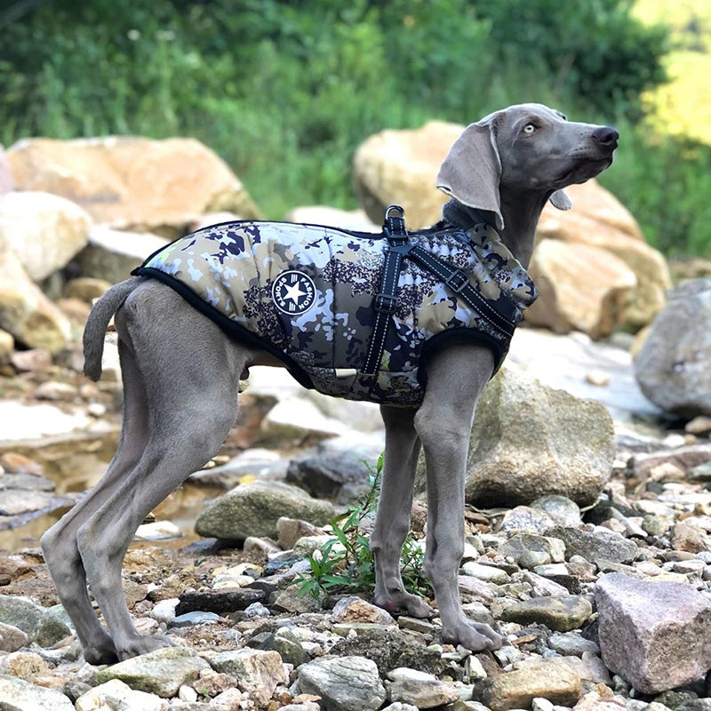 CozyPaws Waterproof Dog Jacket & Harness Combo