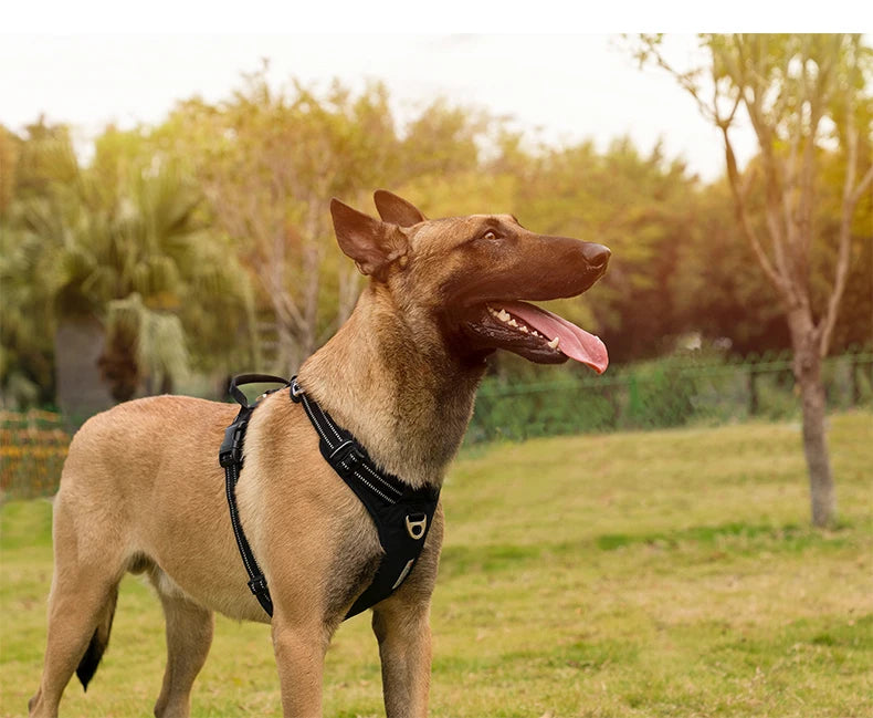 TrueLove No-Pull Reflective Dog Harness – Adjustable & Comfortable Control