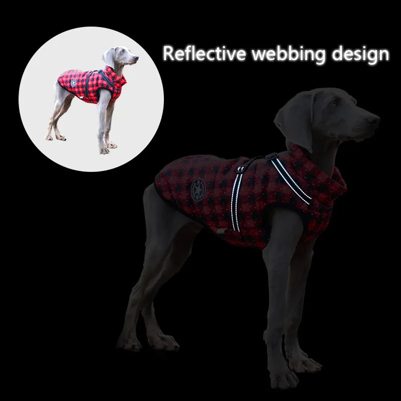 CozyPaws Waterproof Dog Jacket & Harness Combo