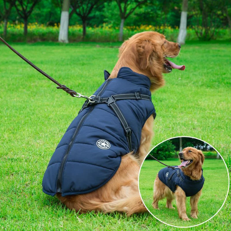 CozyPaws Waterproof Dog Jacket & Harness Combo