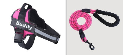 Fashion Simple Pet Leash Chest Strap Set: Stylish & Secure