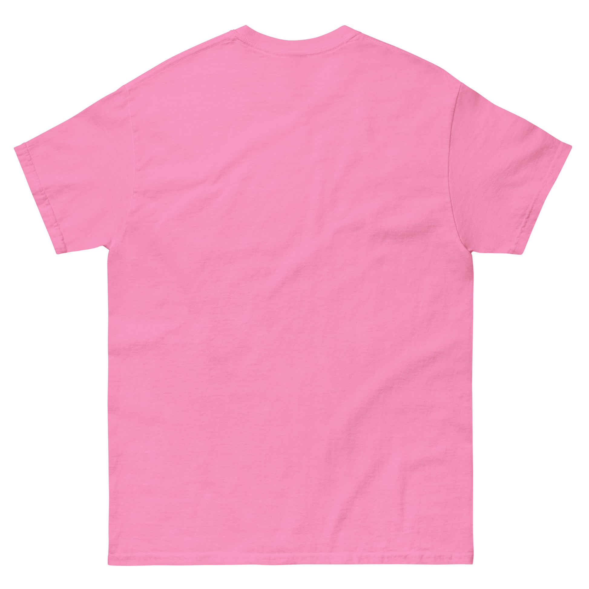 Who Will Stand With Us? T-Shirt – Bold Political Statement Tee for Change - Killer Products