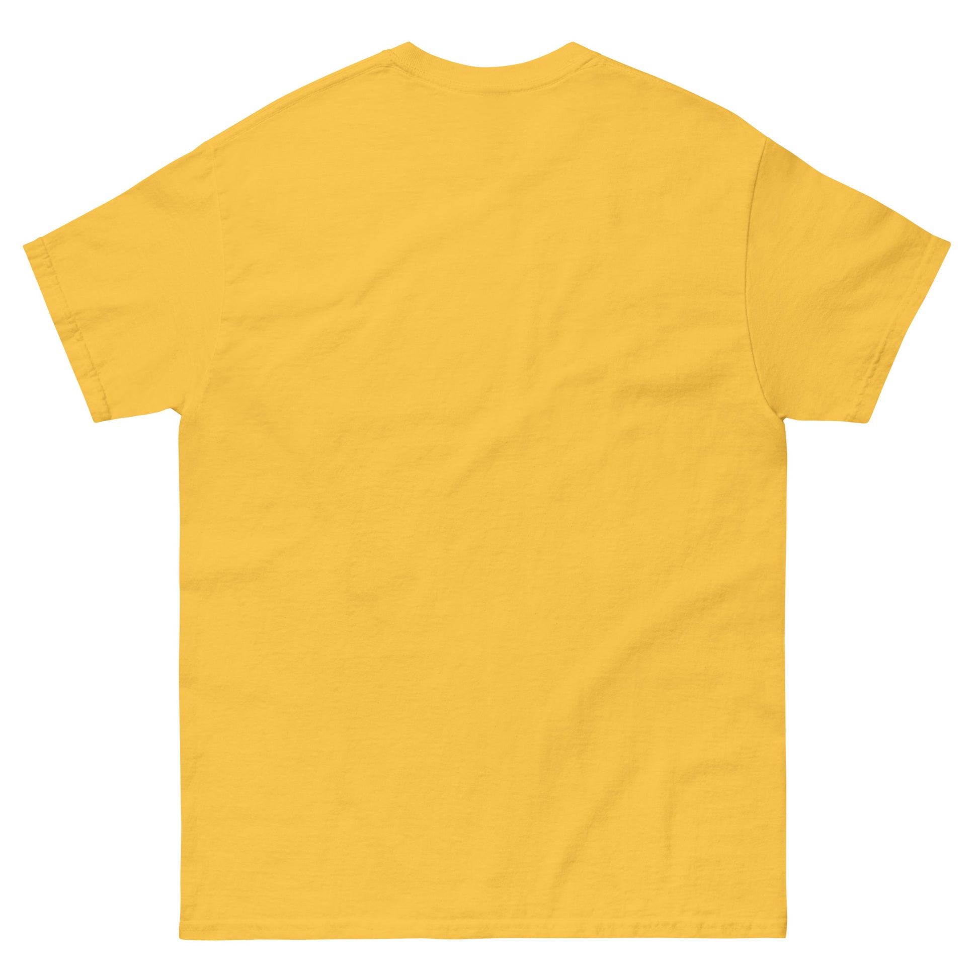 Who Will Stand With Us” Protest T-Shirt – Political Resistance Apparel - Killer Products