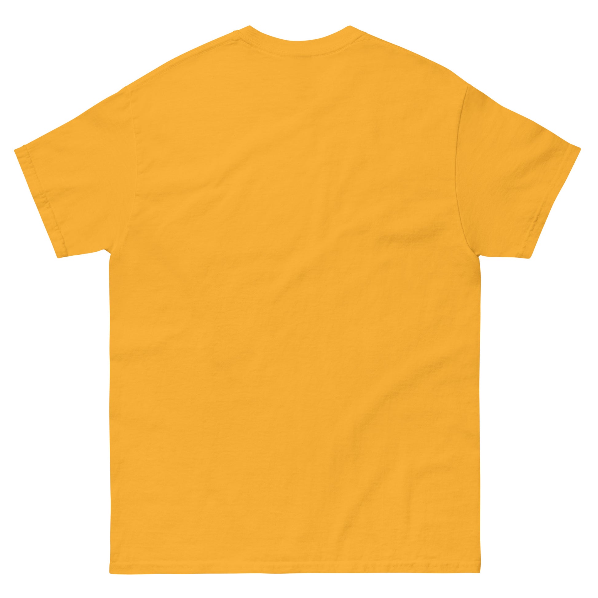 Who Will Stand With Us” Protest T-Shirt – Political Resistance Apparel - Killer Products