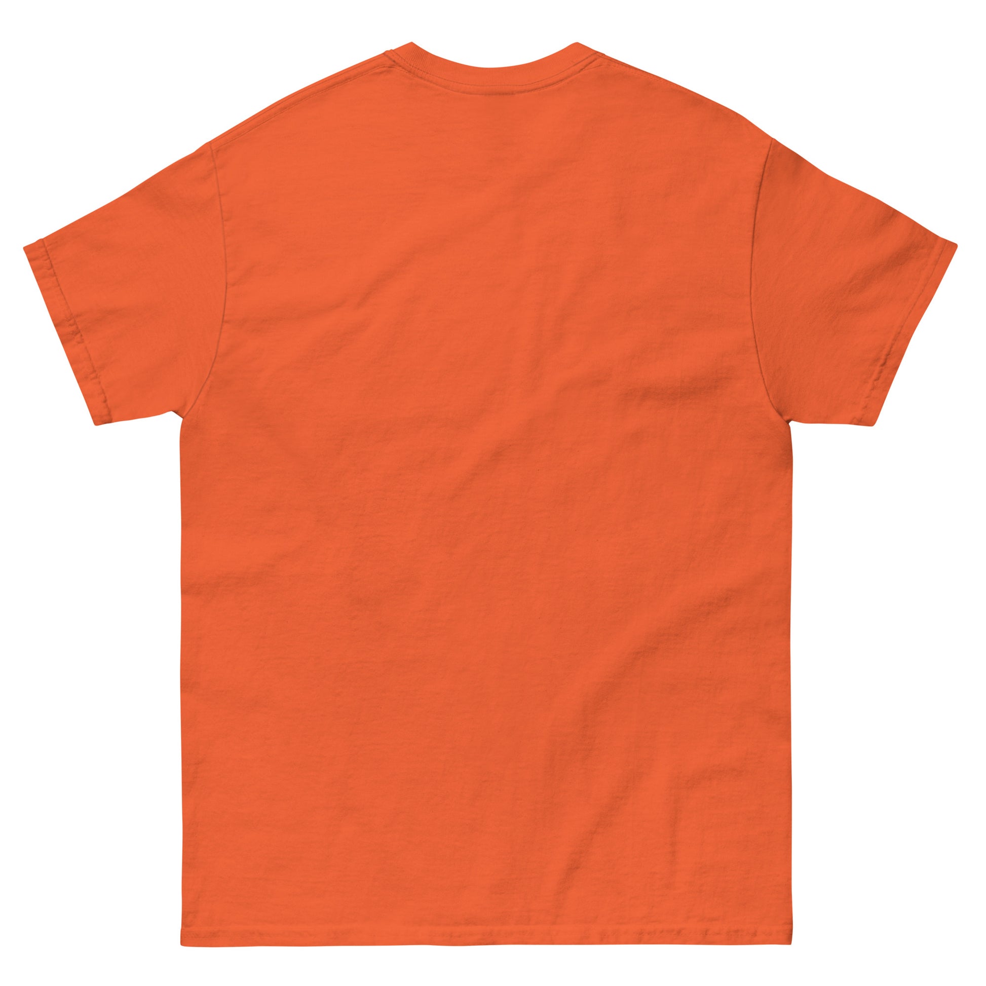 Who Will Stand With Us? T-Shirt – Bold Political Statement Tee for Change - Killer Products