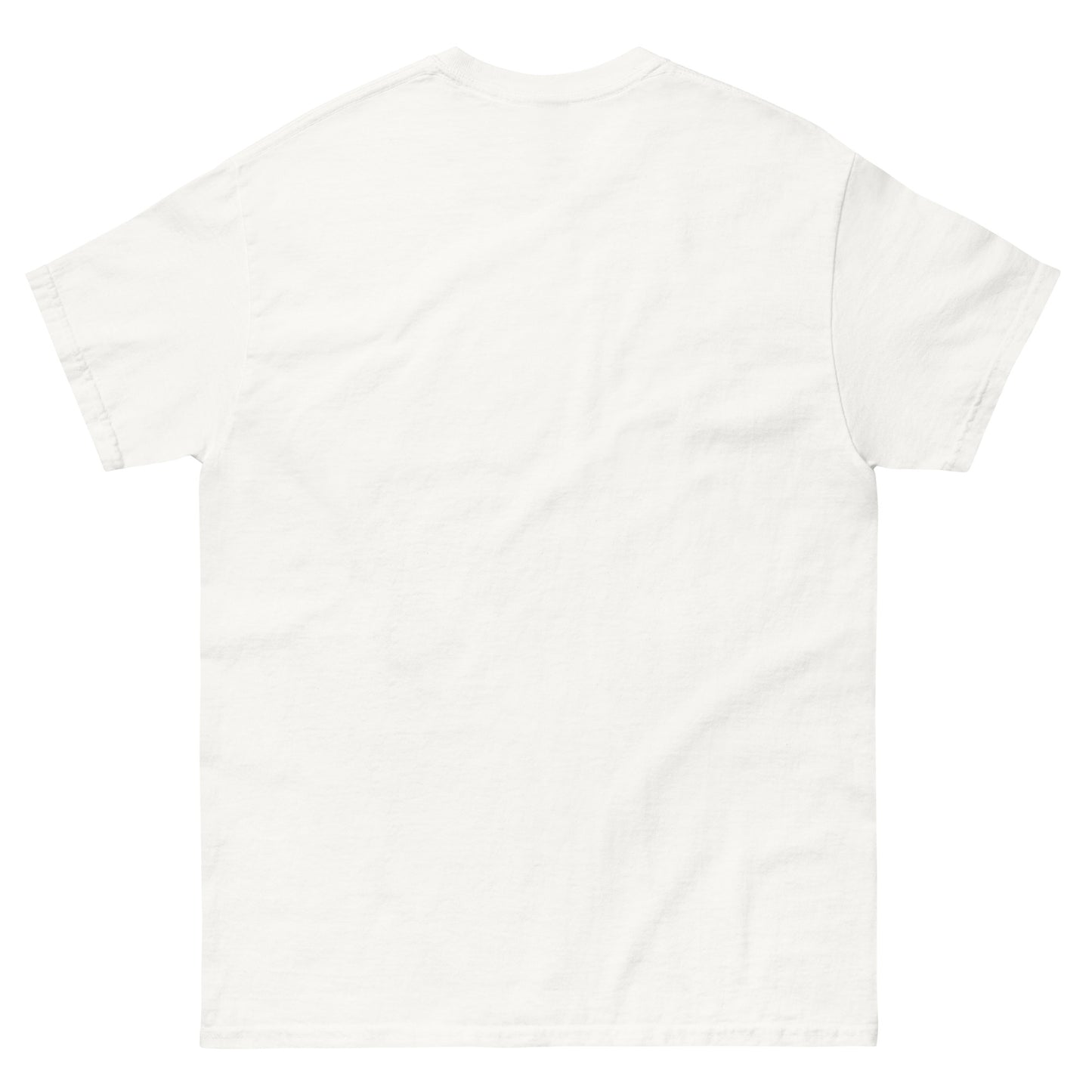 Who Will Stand With Us” Protest T-Shirt – Political Resistance Apparel - Killer Products